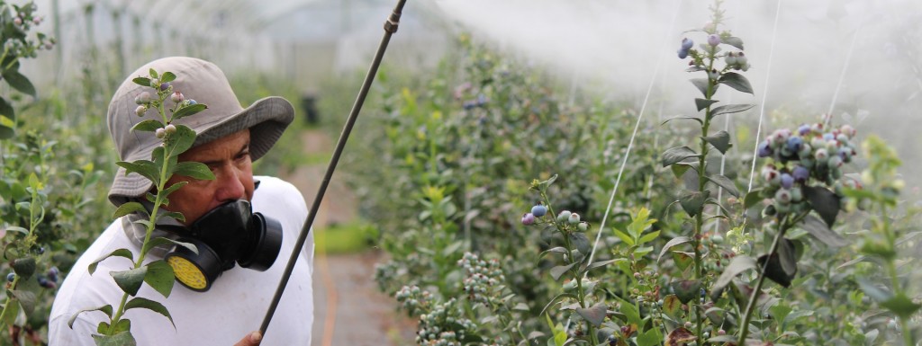 Predavanja za pesticide i ostala osposobljavanja - 2. ožujak 2024 u 16 sati